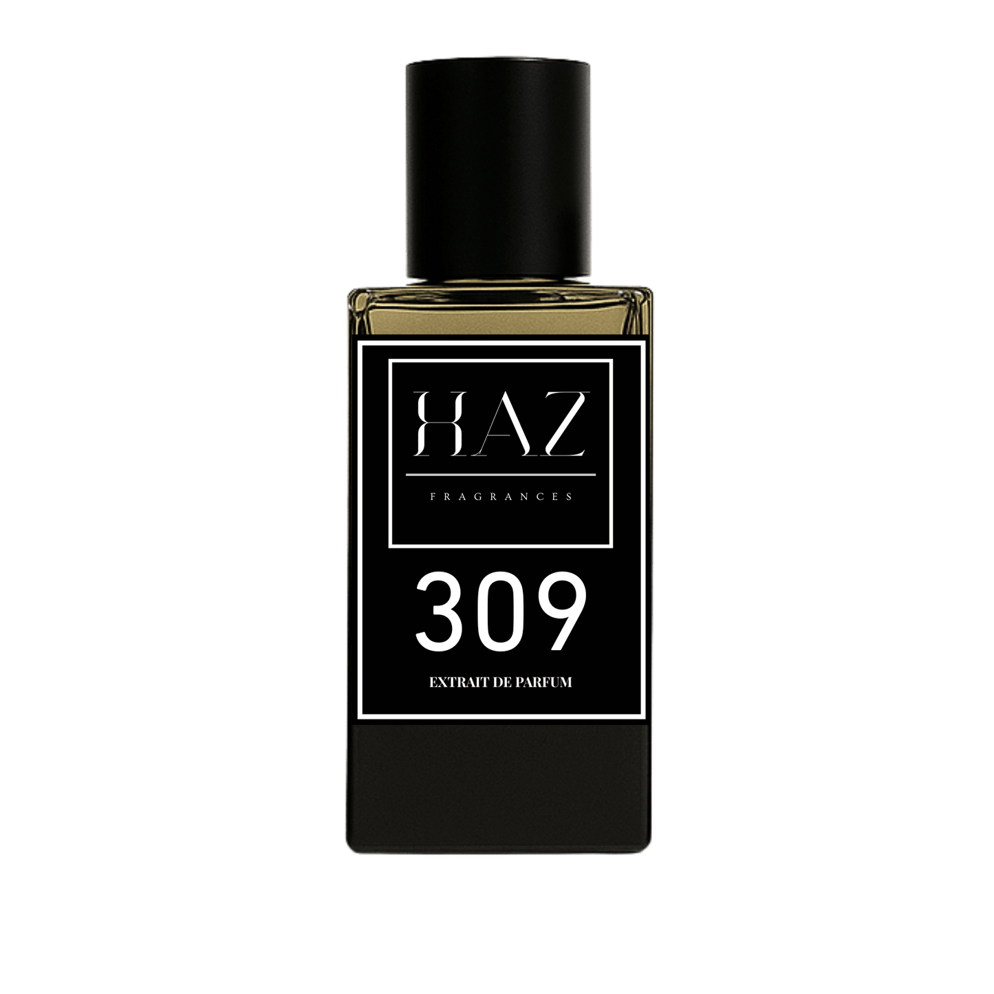 309 - Inspired By: Layton